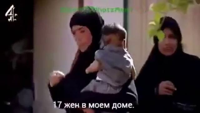 11 декабря 2015 г. смотреть онлайн