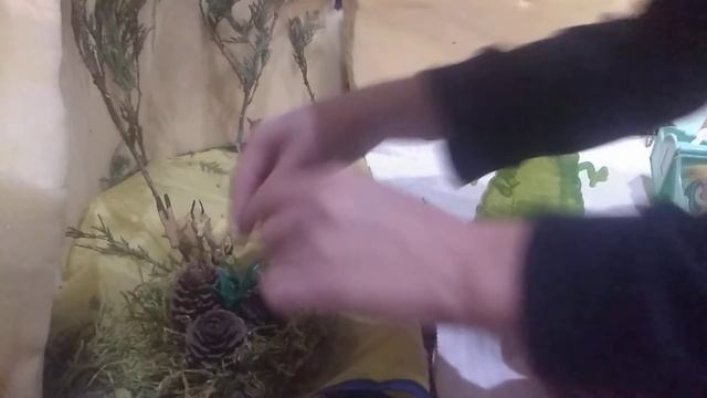 Аня и Оля в парке . Мистер Желе - друг. Серия 2 смотреть онлайн