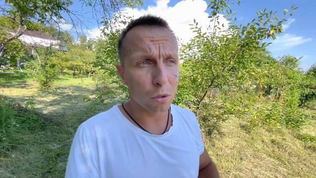 Недвижимость Сочи | Проект участка в Шиловке 24 сотки | 16+ смотреть онлайн