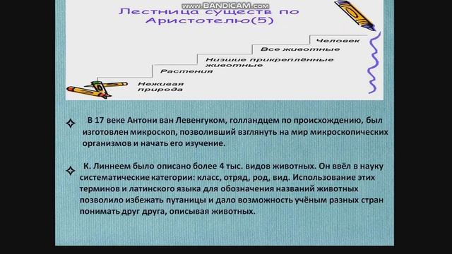 Биология★Современная зоология★История развития зоологии