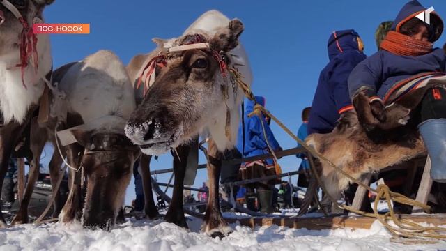 2104 ПРАЗДНИК ДЛЯ ОЛЕНЕВОДОВ смотреть онлайн