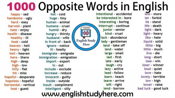 1000 Opposite Words in English | Antonym Words List | Common Opposites
