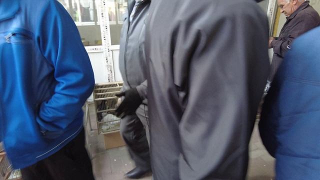 голуби смотреть онлайн