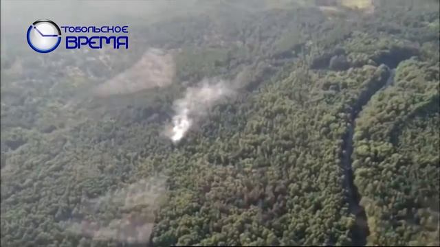 запрет на посещение леса смотреть онлайн