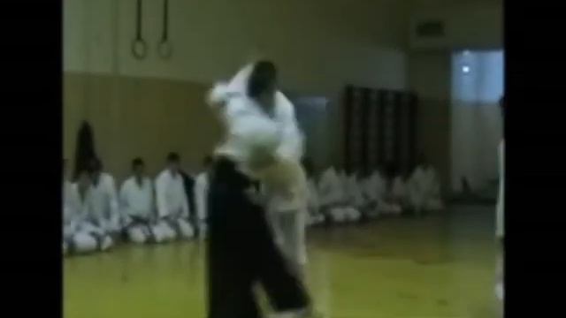 Gevorg Sukiasyan Sensei_ Aikido Demonstration, Randori, 2010 смотреть онлайн