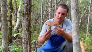 #70. Одна из прелестей загородной жизни [Жизнь на своей земле]