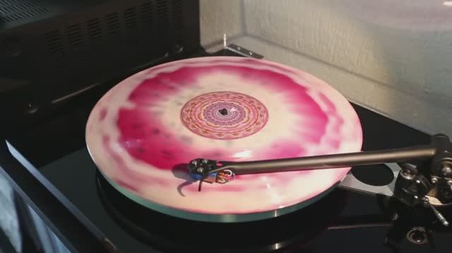 Show Me A Dinosaur - Self-Titled 12.mp4 смотреть онлайн