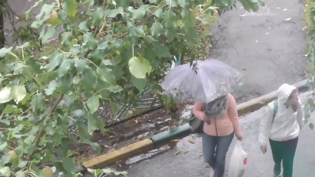 №192 Погода в Москве ? Дождливо ВЛОГ ? Наша кошка ЖИЗНЬ СЕМЬИ ? Реальная жизнь ? Серёжа Женя life смотреть онлайн