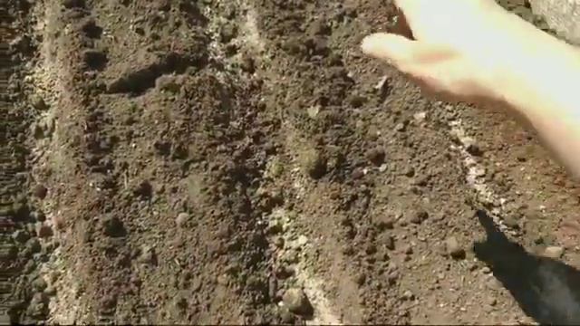 Сажаю морковь, всегда прекрасный урожай!!! смотреть онлайн