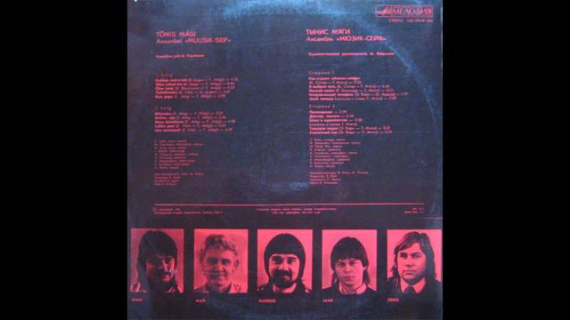 Tõnis Mägi ja Muusik Seif - Olen valind tee смотреть онлайн