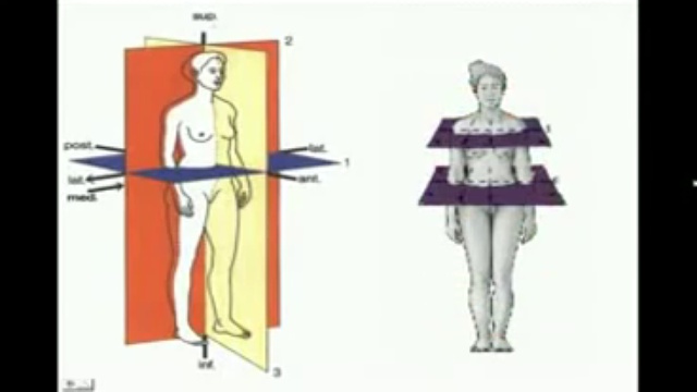 Anatomia Espacial- planos y ejes смотреть онлайн