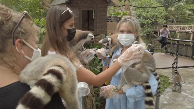 Таиланд Паттайя сегодня туристы в зоопарке Kao Kheo смотреть онлайн