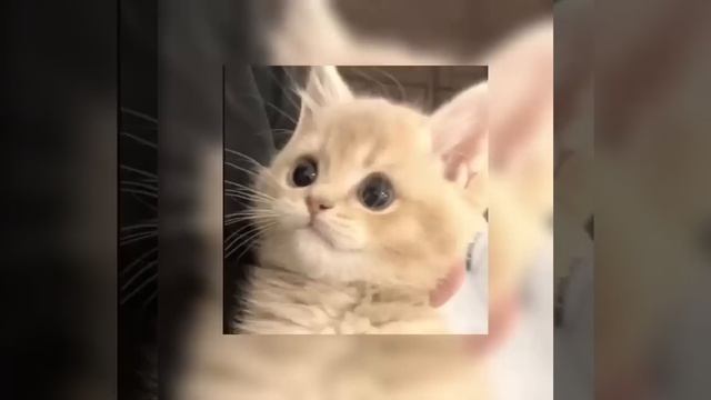 Бесприданница Speed Up