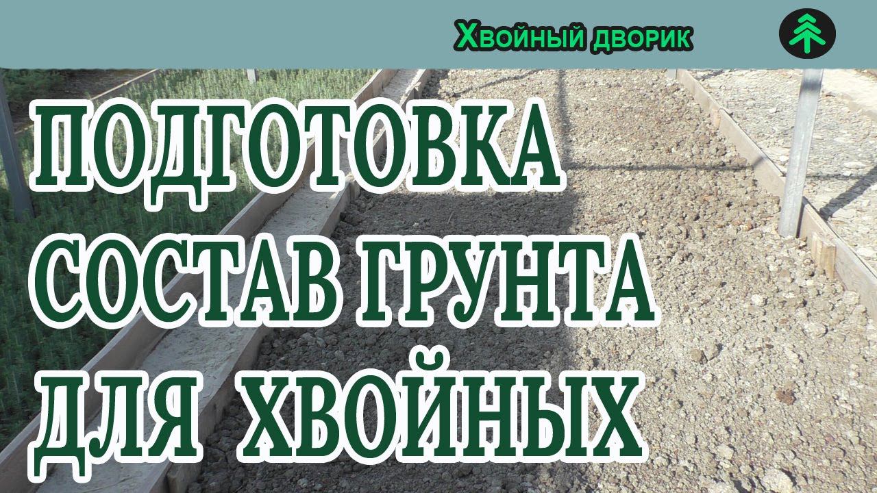 Какой грунт мы готовим для посадки ели голубой в нашем питомнике "Хвойный дворик" смотреть онлайн
