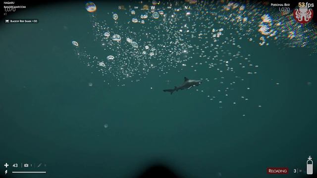 Hearing The Kraken Roars (Death In The Water 2) смотреть онлайн