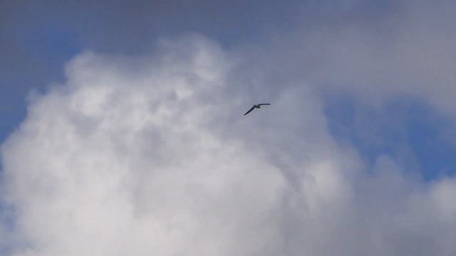 Потанино Шелюгино штормит 2 10 2016 смотреть онлайн