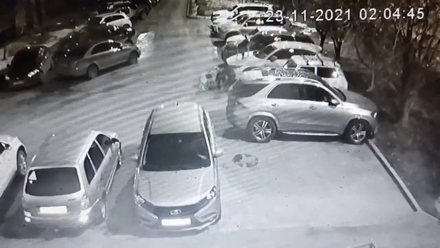 В Самаре собаки набросились на стоящий на парковке автомобиль смотреть онлайн