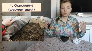 Как делают черный чай? | Технология производства черного чая | Чайгород