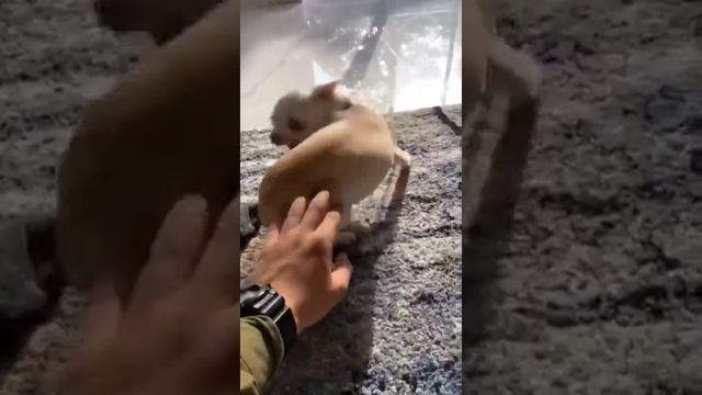какой злой смотреть онлайн