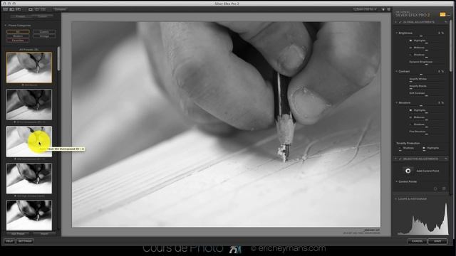 Silver Efex Pro2 + Define + Color Efex Pro 2 смотреть онлайн