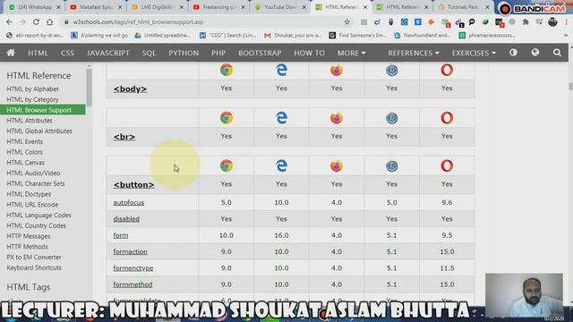 Lec#11 BRWOSERS TAGS WEB Application Development UCP PGC Mailsi 02 06 2020 смотреть онлайн