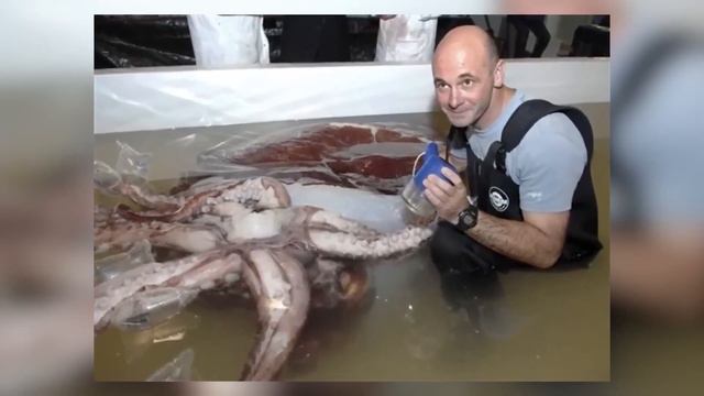 Scary Found Evidence That Is Proof The Megalodon Is Real | Marathon 2 смотреть онлайн