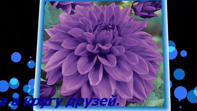 Приятного вечера и сладких снов. смотреть онлайн