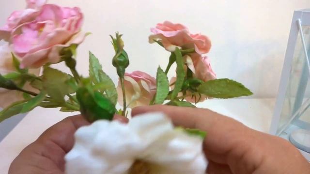 Гибкость моих роз из ХФ! смотреть онлайн