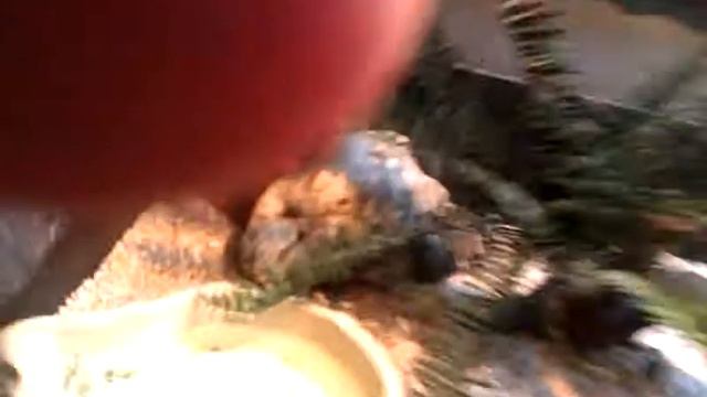 Одесский терариум смотреть онлайн