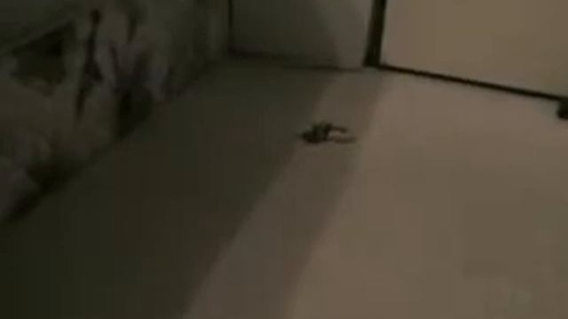 Lego Robots: The Trobot (Part 2/2) смотреть онлайн