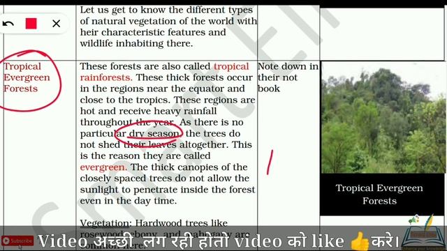 Lesson Plan On Forest| SST Lessonplan|B.Ed Lesson Plan|NOIS| D.El.Ed | Social Science Lesson Plan |