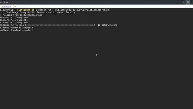 An example of Docker Run смотреть онлайн