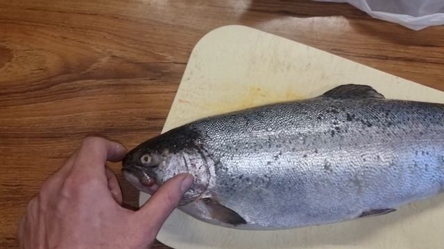 Форель с икрой или без. Самка или самец. смотреть онлайн