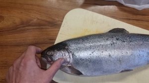 Форель с икрой или без. Самка или самец.