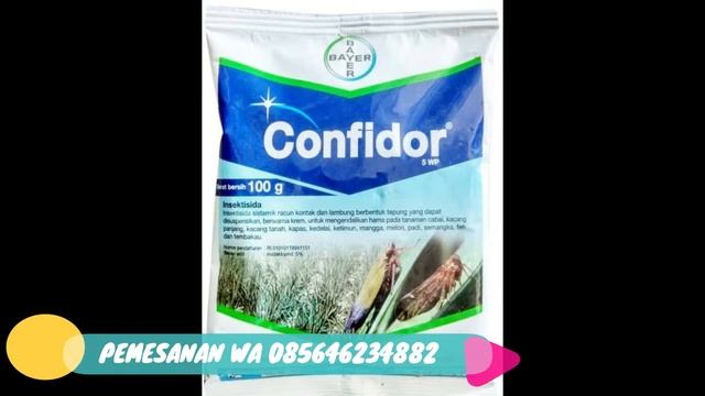 Obat Insektisida CONFIDOR 5 WP - 100 Gram смотреть онлайн