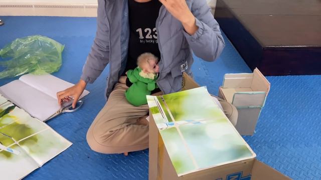 Baby monkey Abi loves the new wardrobe her mom made for her смотреть онлайн
