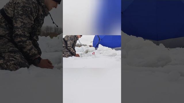 Поездка на Обь. смотреть онлайн