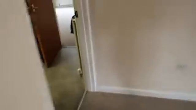 Video 279 смотреть онлайн