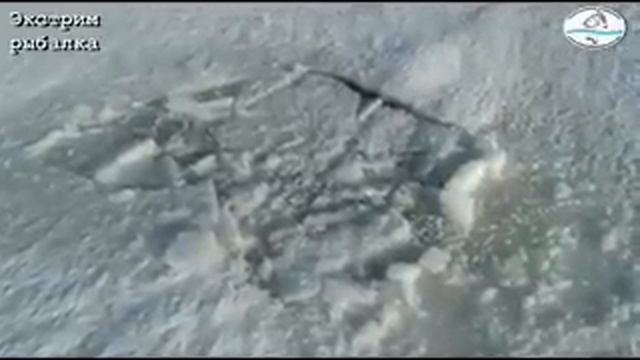 Экстрим. Зимняя рыбалка в Кургальджино 28.12. 14 смотреть онлайн