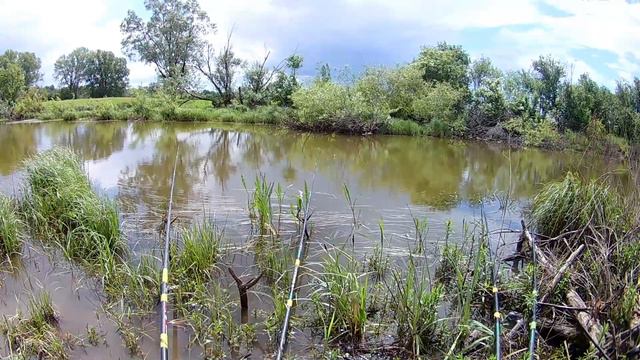 Рыбалка на карася! смотреть онлайн