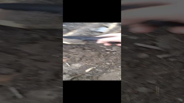 нашёл заднюю часть жигули, нужно откопать...