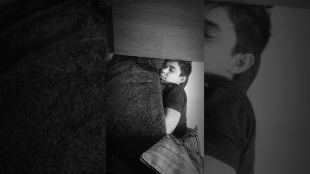 Общажный навозный жук смотреть онлайн