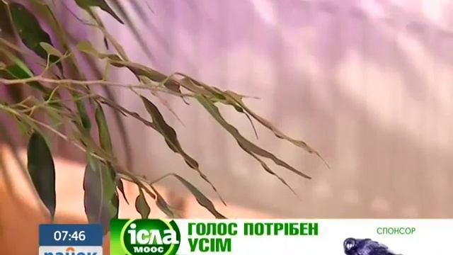 Увлажняем Помещение без Увлажнителя - Ранок - Інтер смотреть онлайн