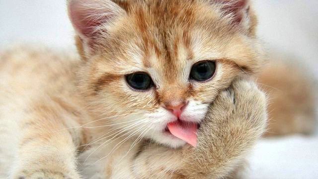Новинка музыка онлайн. Крутая! Русская Мадонна! смотреть онлайн