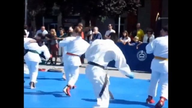 Gala 40º Aniversario Club Shotokan-Ciudad Real смотреть онлайн