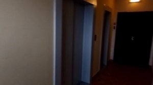 НОВЫЕ МУЗЫКАЛЬНЫЕ ЛИФТЫ WELLMAKS 630 КГ 8 ПАСС И 400 КГ 5 ПАСС (ЩЕРБИНКА, ЮБИЛЕЙНАЯ 3)