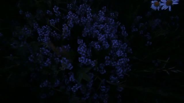 Ларчик со стихами. Анна Заруба. Стихотворение из сборника "Стихи из прошлой жизни" смотреть онлайн