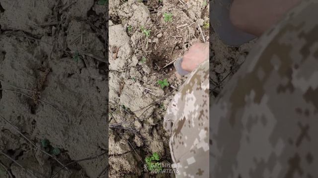 Сигнал хороший, а на деле... 😅 смотреть онлайн