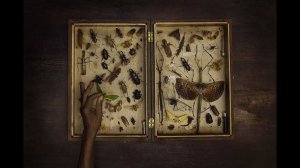 Юрий Притиск о фотопроекте "Amani" Евгении Арбугаевой