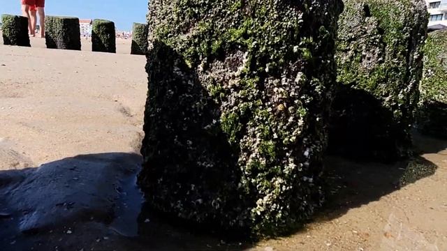 Прогулка по морю в городе Филссинген, Нидерланды - The walk on the sea in Vilssingen, Netherlandes смотреть онлайн